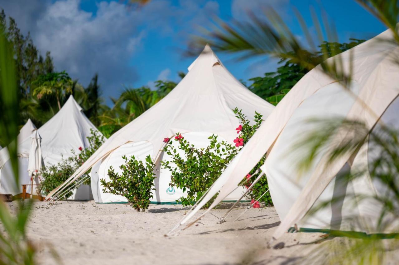 Wild Lotus Glamping Hotel Bolands Exterior photo