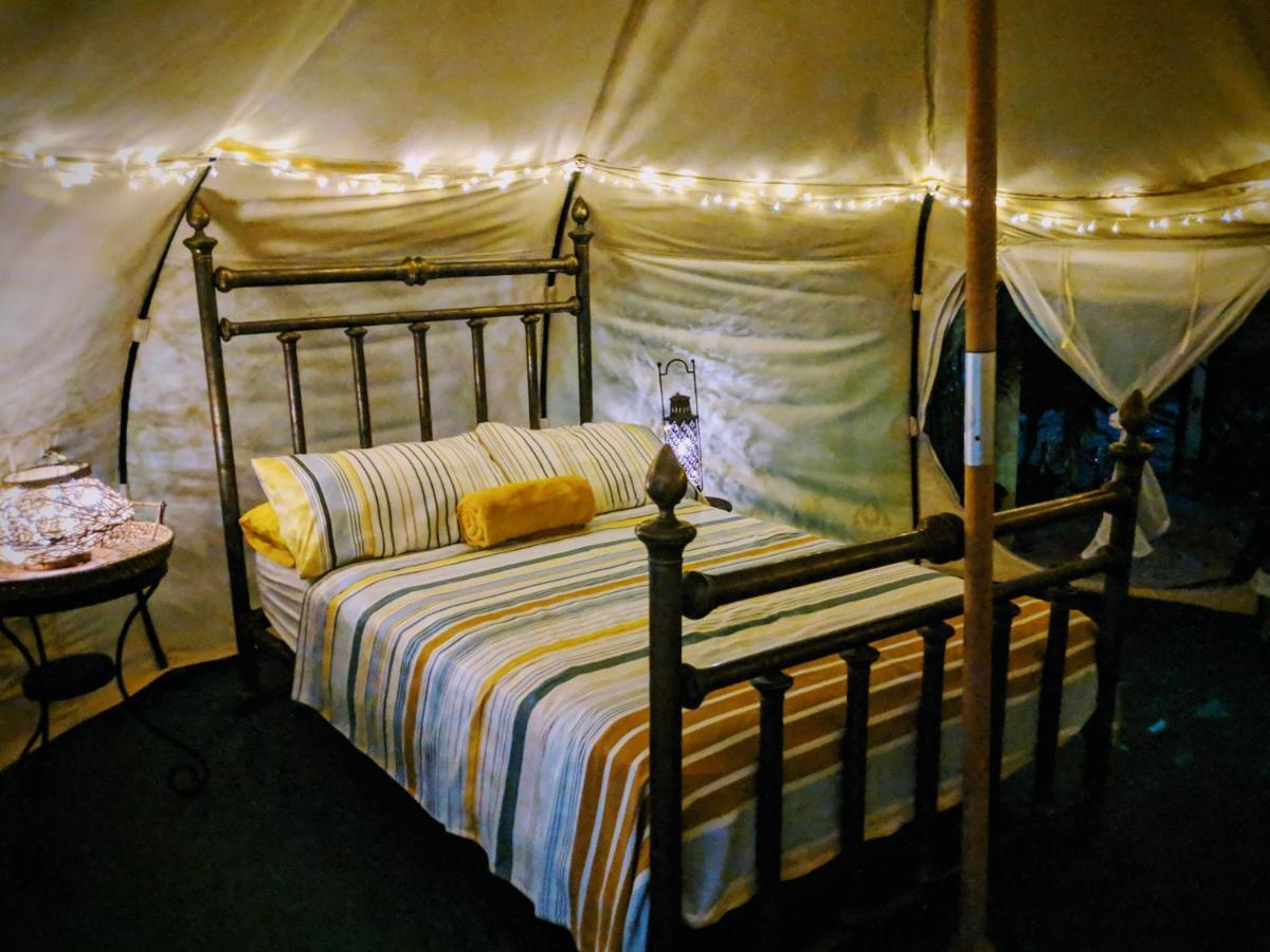 Wild Lotus Glamping Hotel Bolands Exterior photo